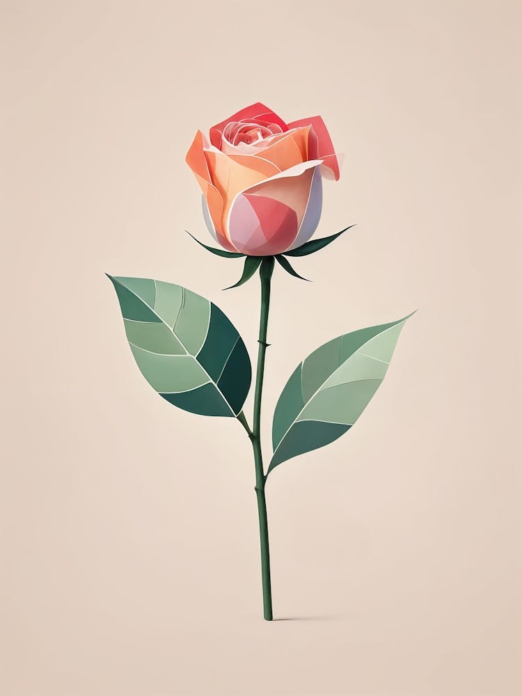 The Rose no1 1