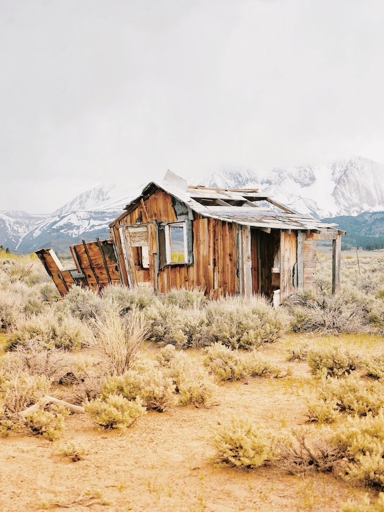 Abandoned Homestead