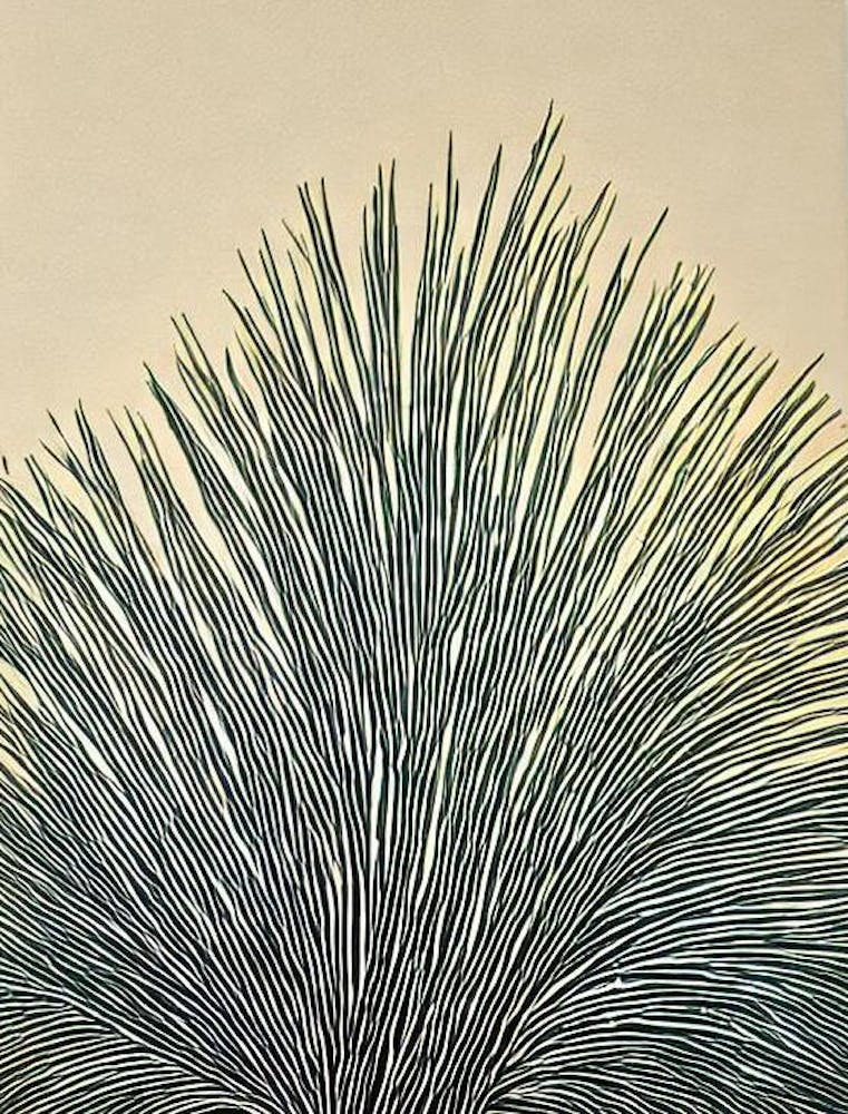 Acropora Formosa Ii Linocut