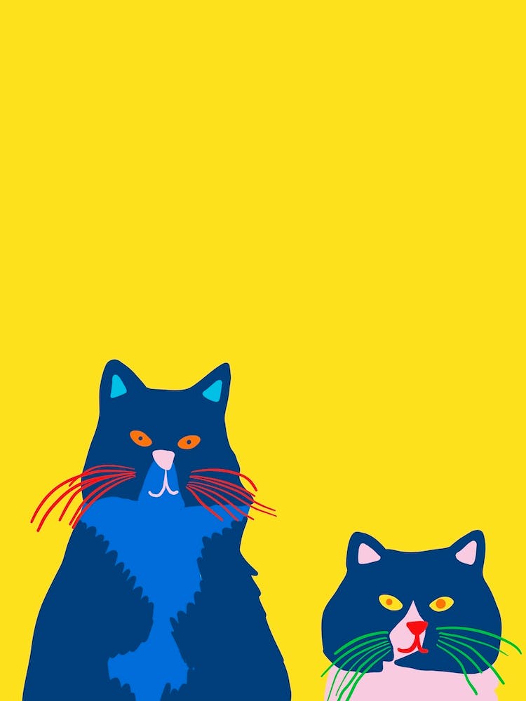 Two Grumpy Cats Looking Out The Window