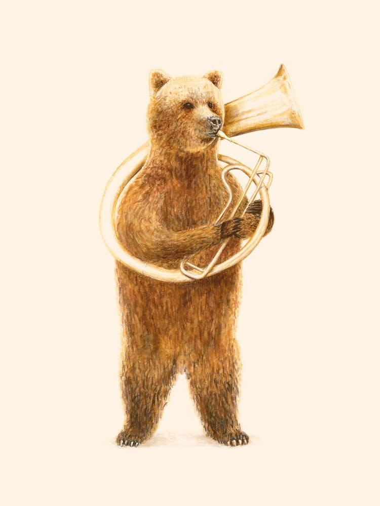 The Bear And His Helicon