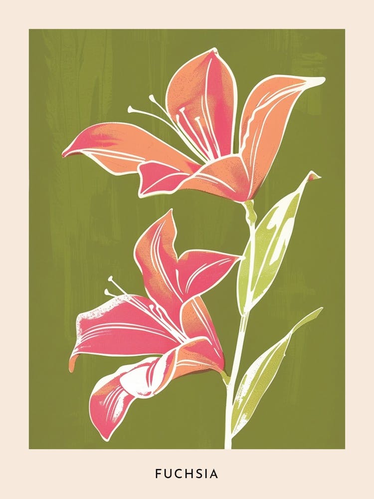 Pink & Green Fuchsia 2 Flower Poster