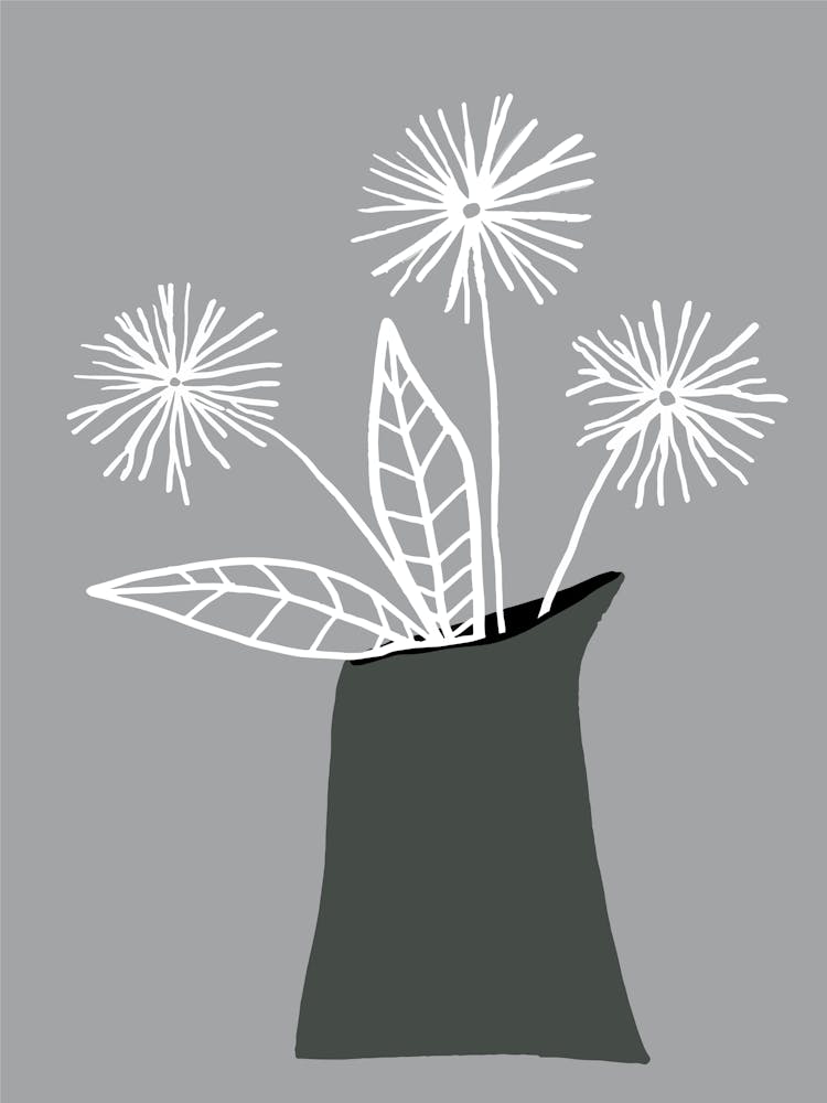 Indoor Plant 2