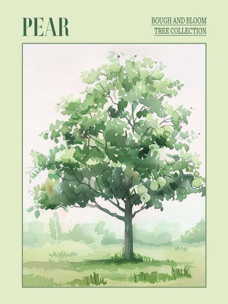 Pear Tree Atmospheric Watercolour Painting 2 Poster