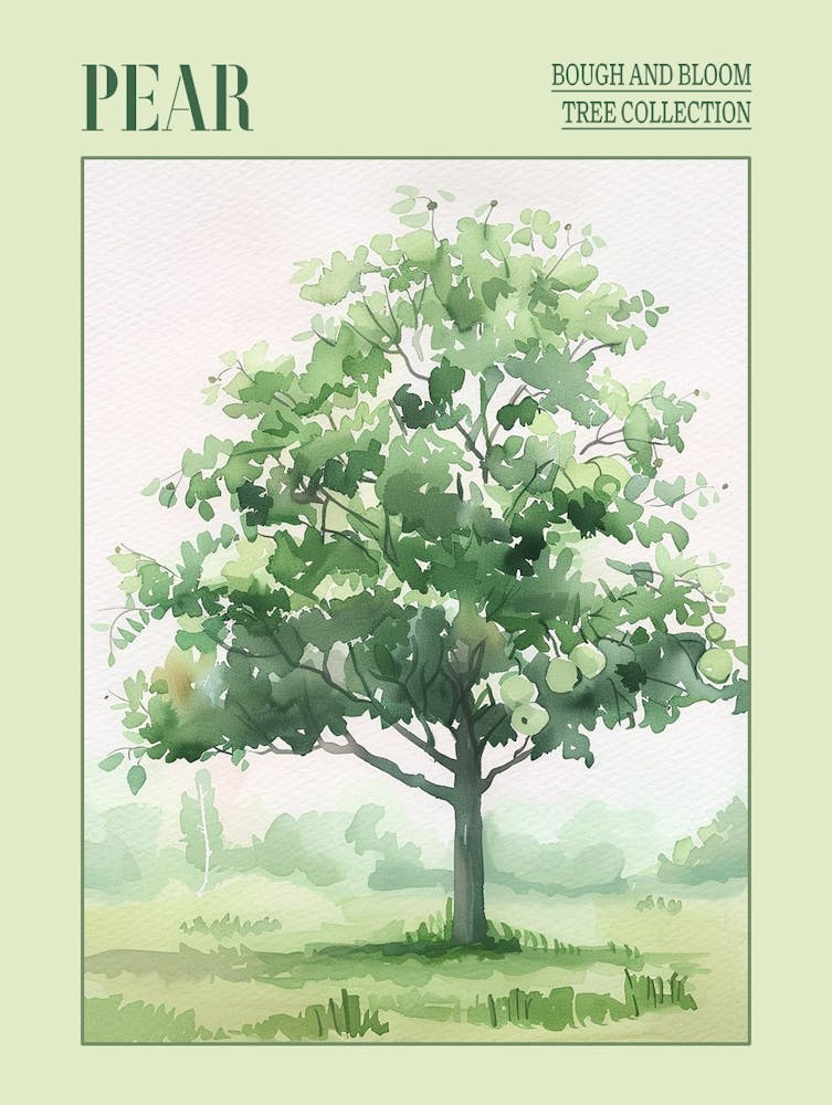 Pear Tree Atmospheric Watercolour Painting 2 Poster
