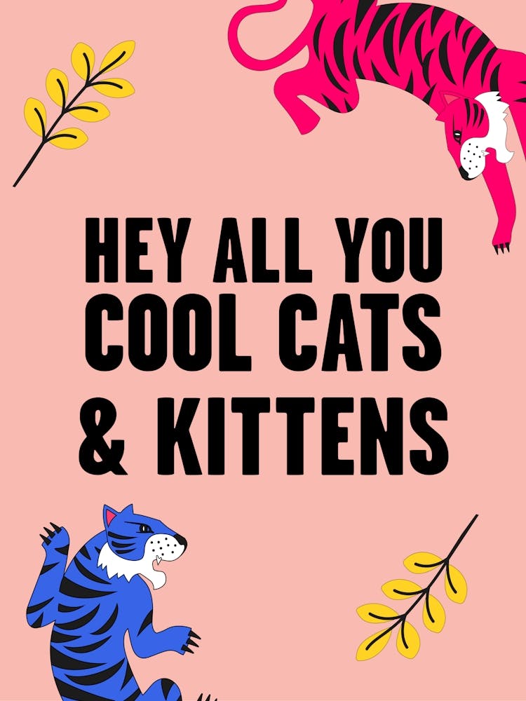 Hey All You Cool Cats And Kittens Tiger Pink