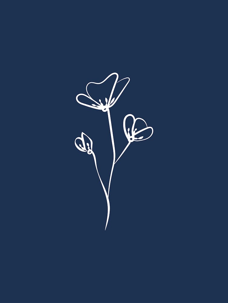 Line Art Flower 1 - Navy 1