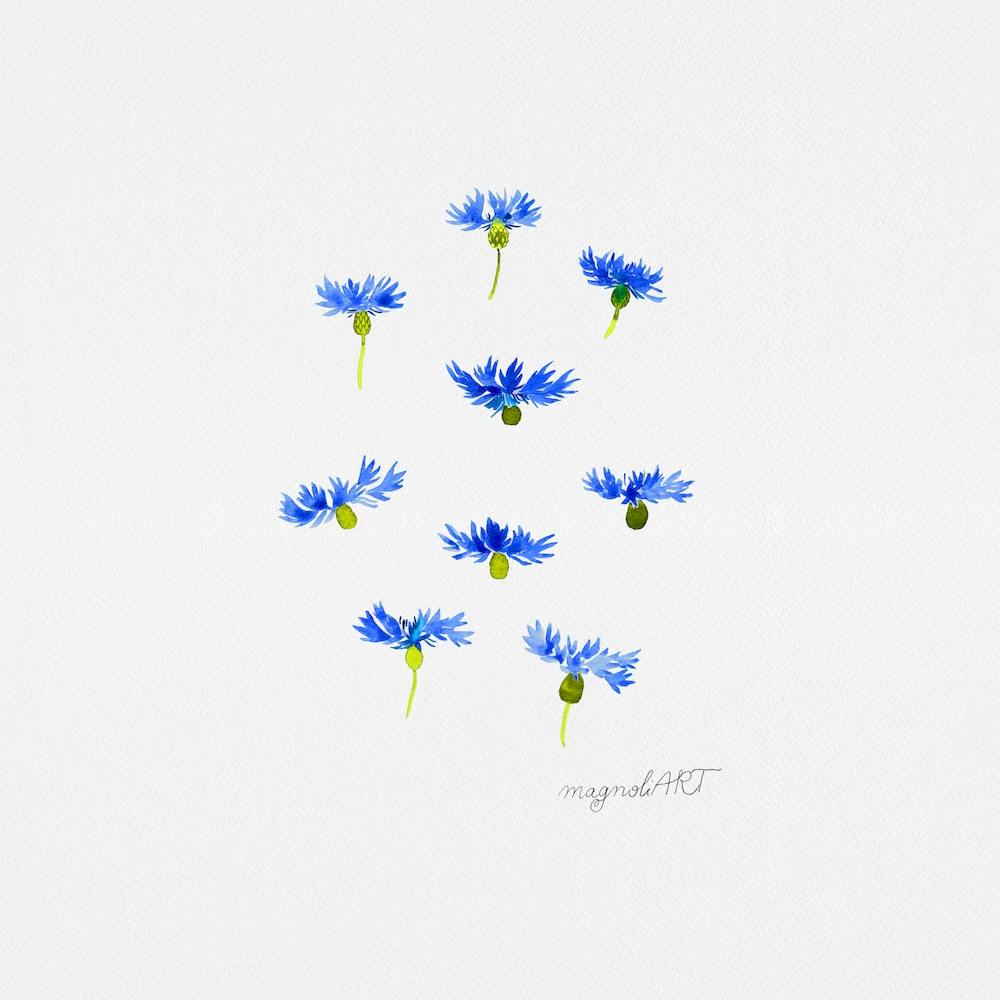 Blue Cornflowers Watercolor Artwork 1