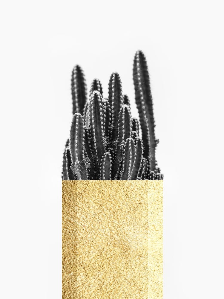 Fashion floral art 3