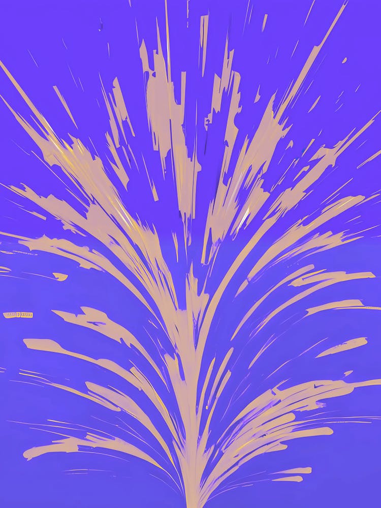 Firework Stock Videos & Royalty-Free Footage