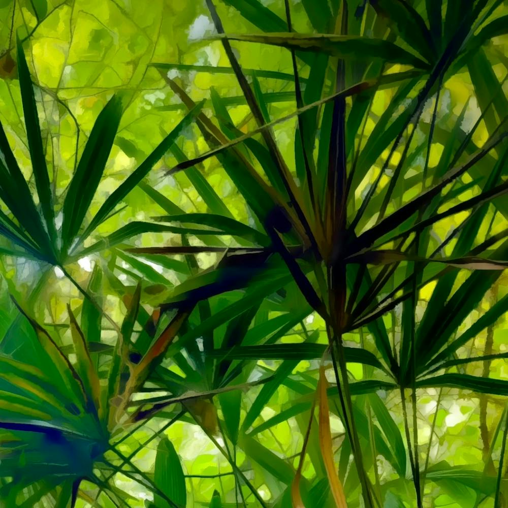 Palm Leaves
