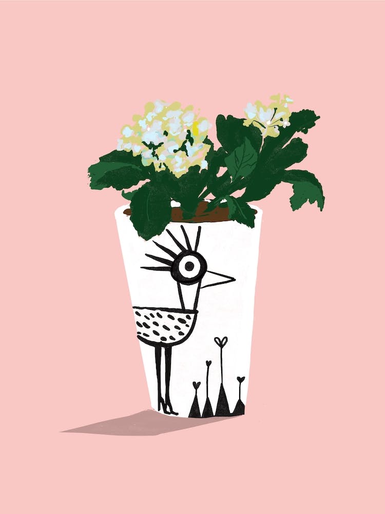Flowers In A Pot