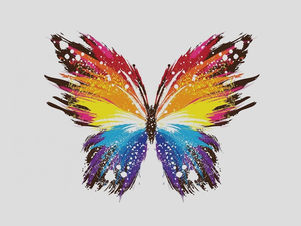 Rainbow Butterfly