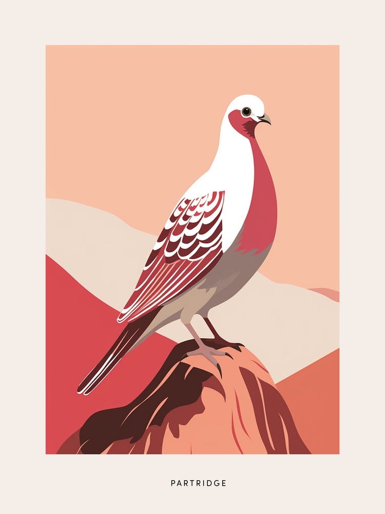 Minimalist Partridge Bird Poster