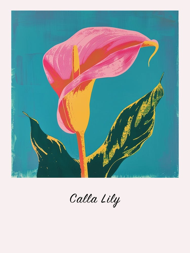 Calla Lily Square Flower Illustration Poster
