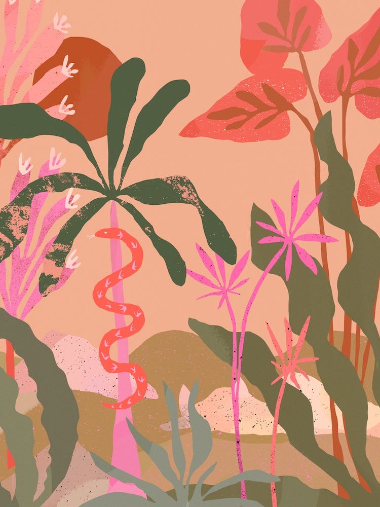 Sunbaked Pink Jungle