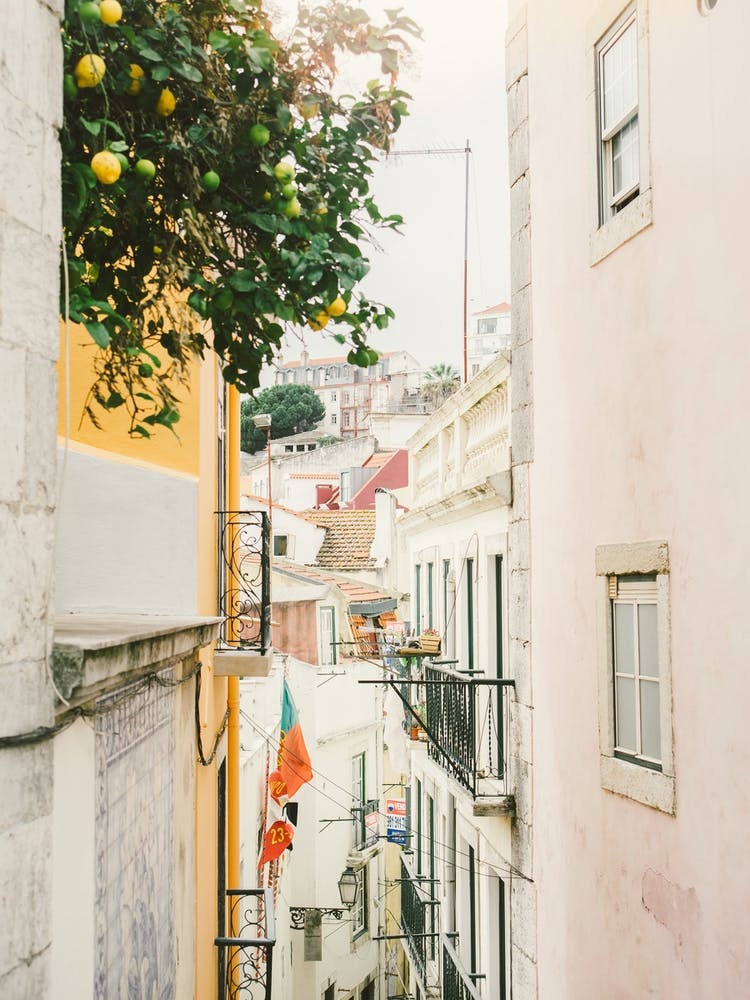 Lisbon Lemon Tree Street