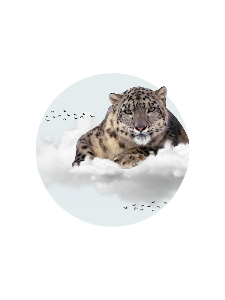 Schneeleoparden-Collage