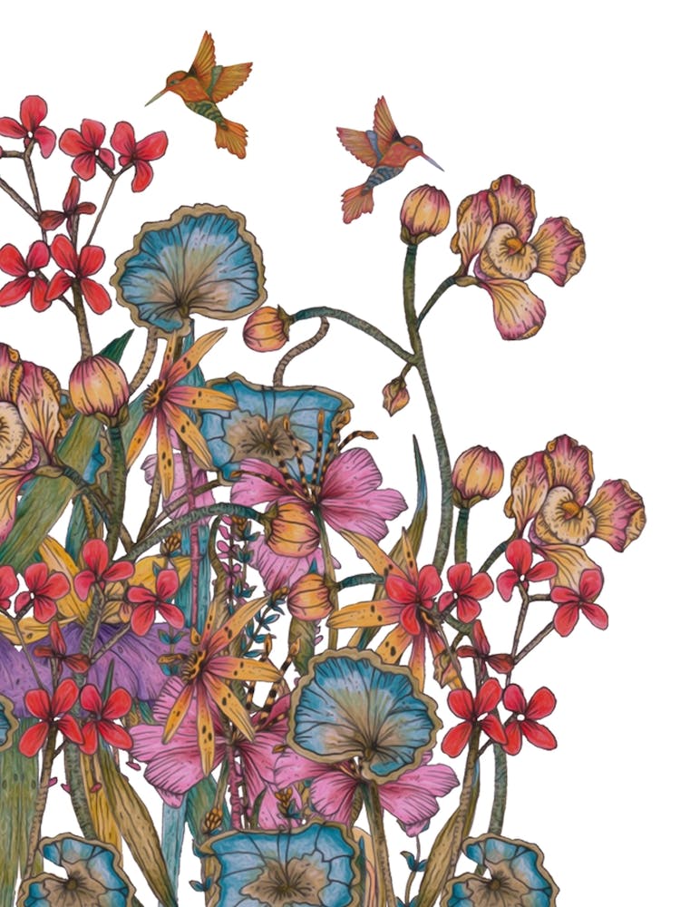 Hummingbird Garden I 1