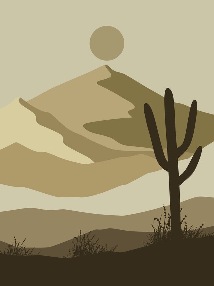 Cactus In The Desert 18