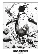 Penguin Playing Poster 5