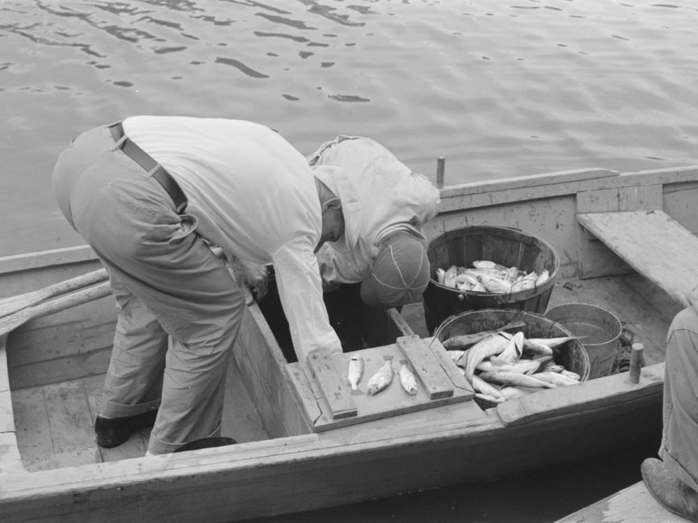 Unbetiteltes Foto, möglicherweise im Zusammenhang mit dem Entladen von Austern aus kleinen Booten, Olga, Louisiana von Russell Lee