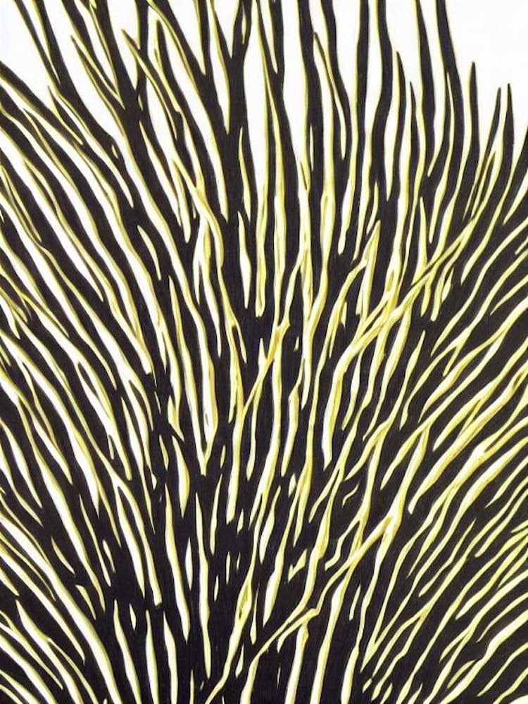 Acropora Cytherea Iiii Linocut