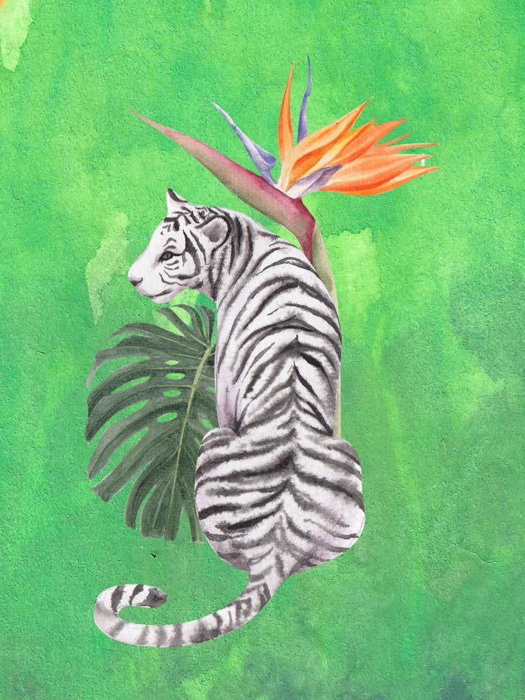 White Tiger