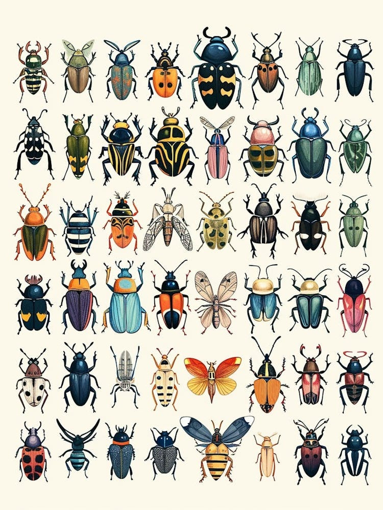 Colourful Insect Illustration Beetle 19