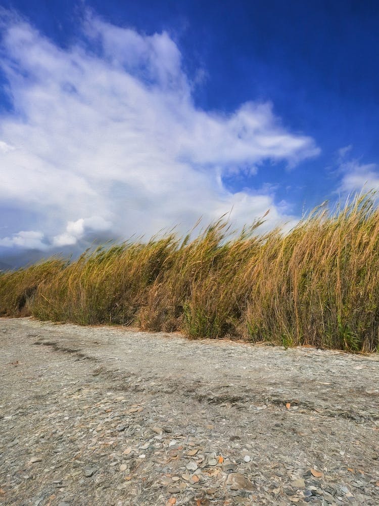 Shingle Beach Boundary
