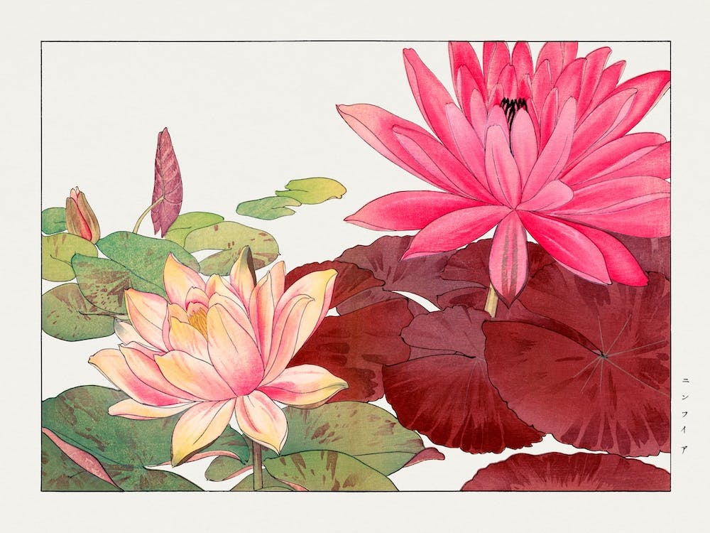 Nymphaea Lotus, Japanische Holzblockkunst