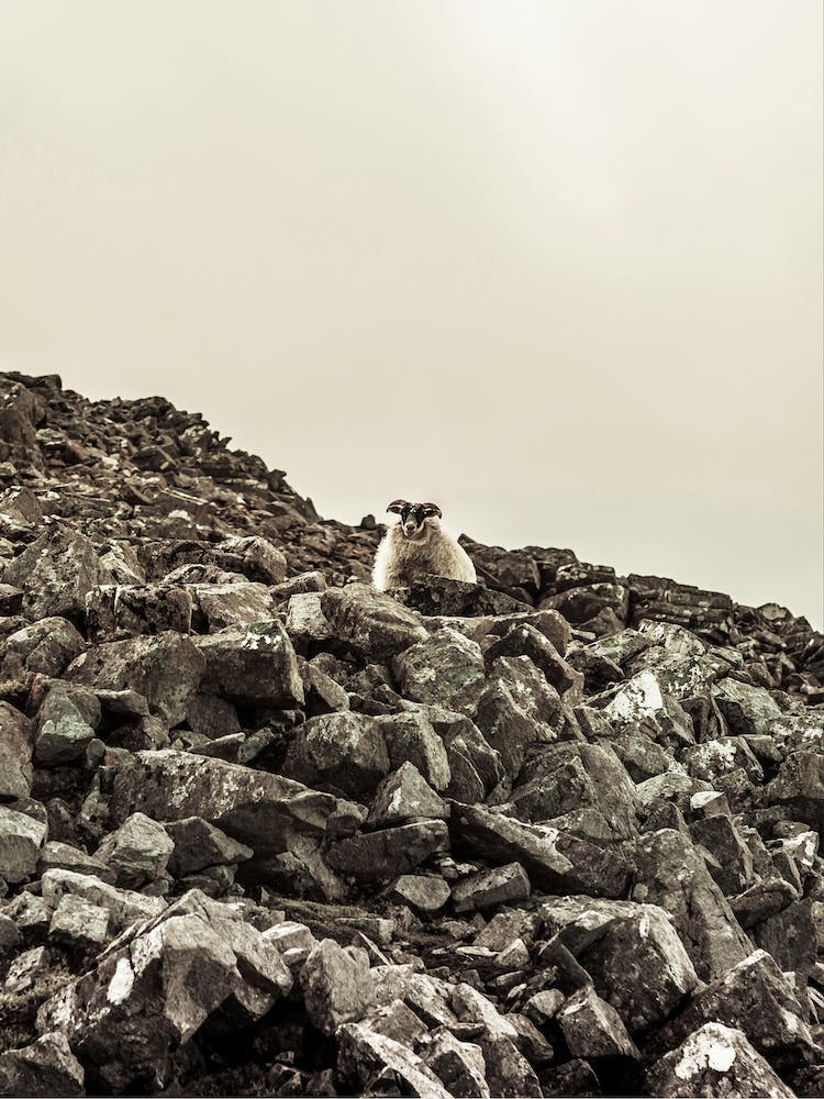 Mania Landscapes Raw 10 Highlands (Scotland)