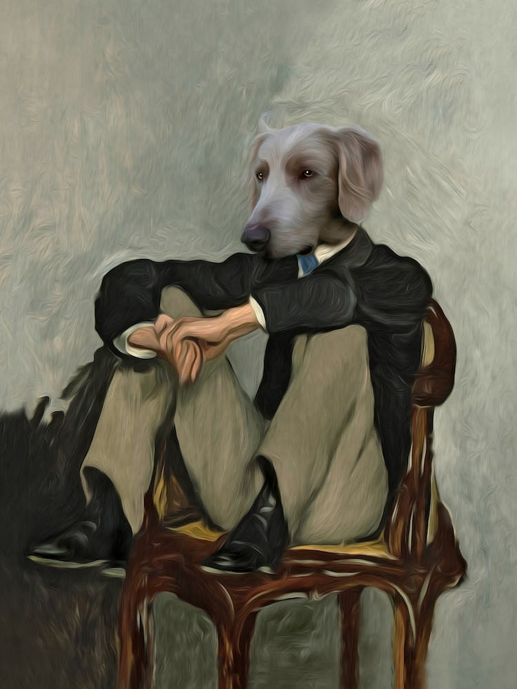 Mister Figaro The Dog Pet Portraits
