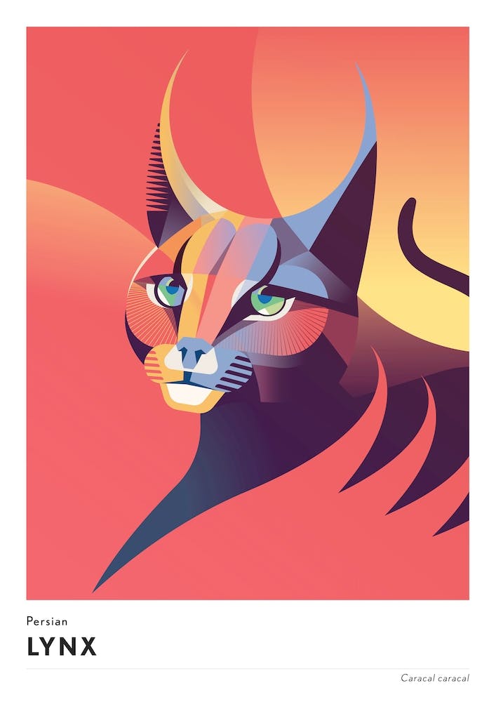 Persian Lynx