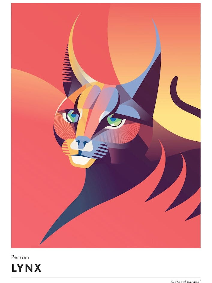 Persian Lynx