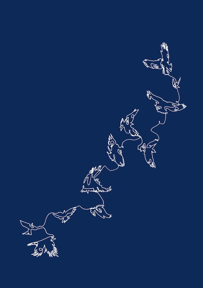 Connected in Flight