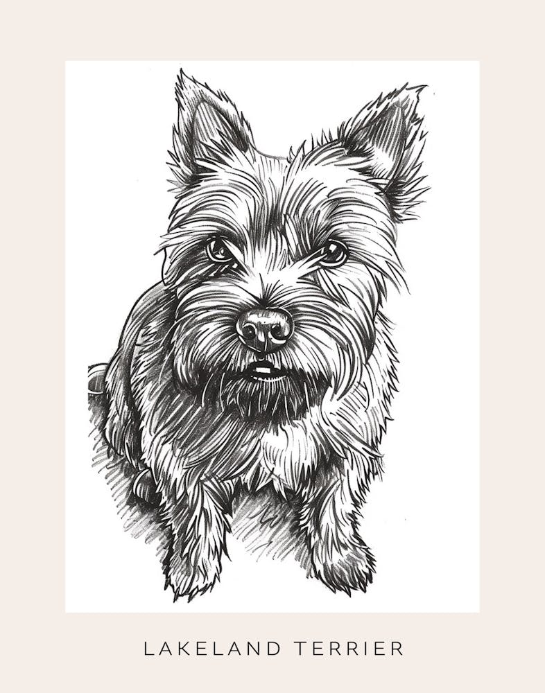Lakeland Terrier Dog Line Sketch 3 Poster