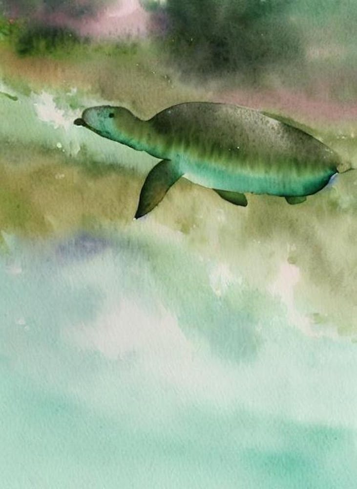Dugong Storybook Watercolour