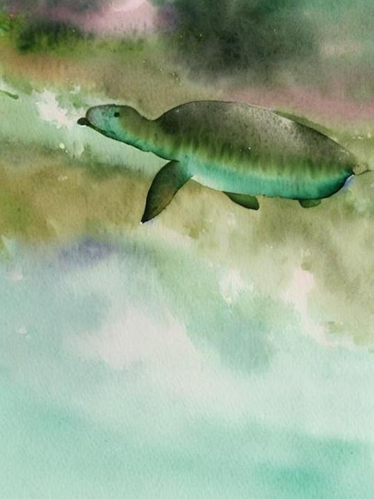 Dugong Storybook Watercolour