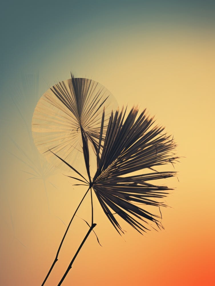 Sunset Stock Videos & Royalty-Free Footage