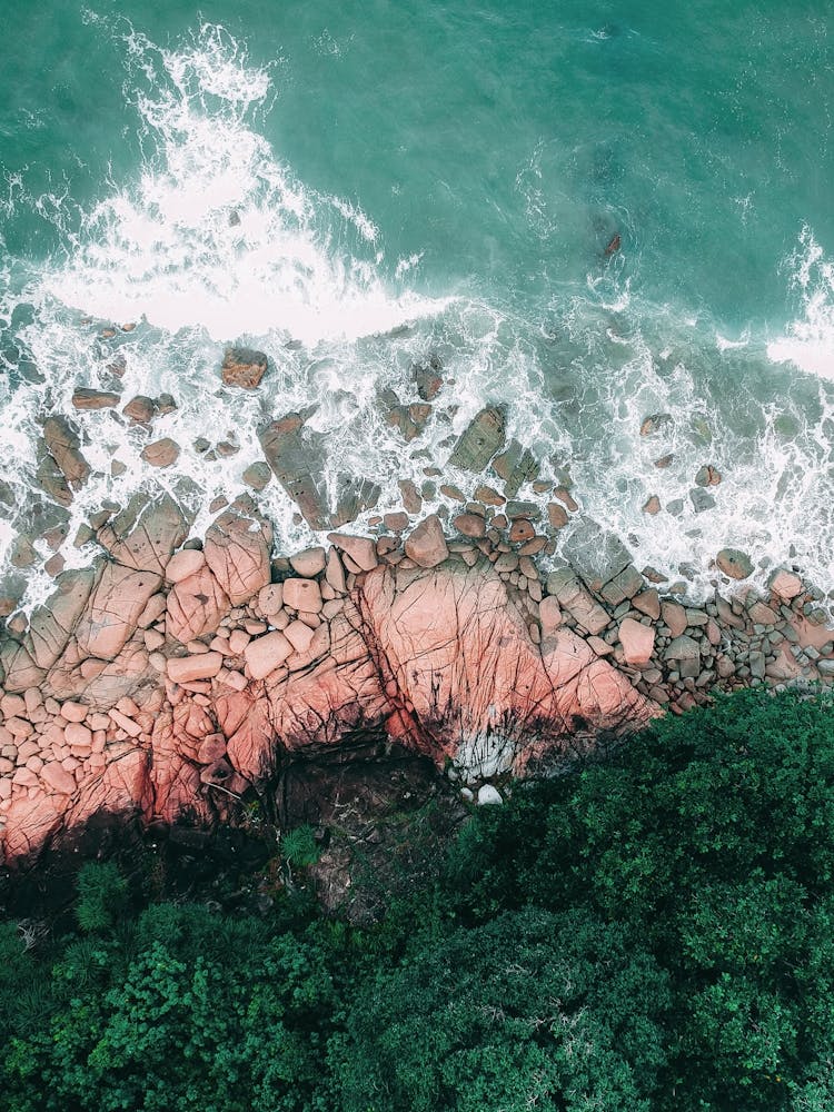 Abstract Aerial Shot Beach Trees Shoreline