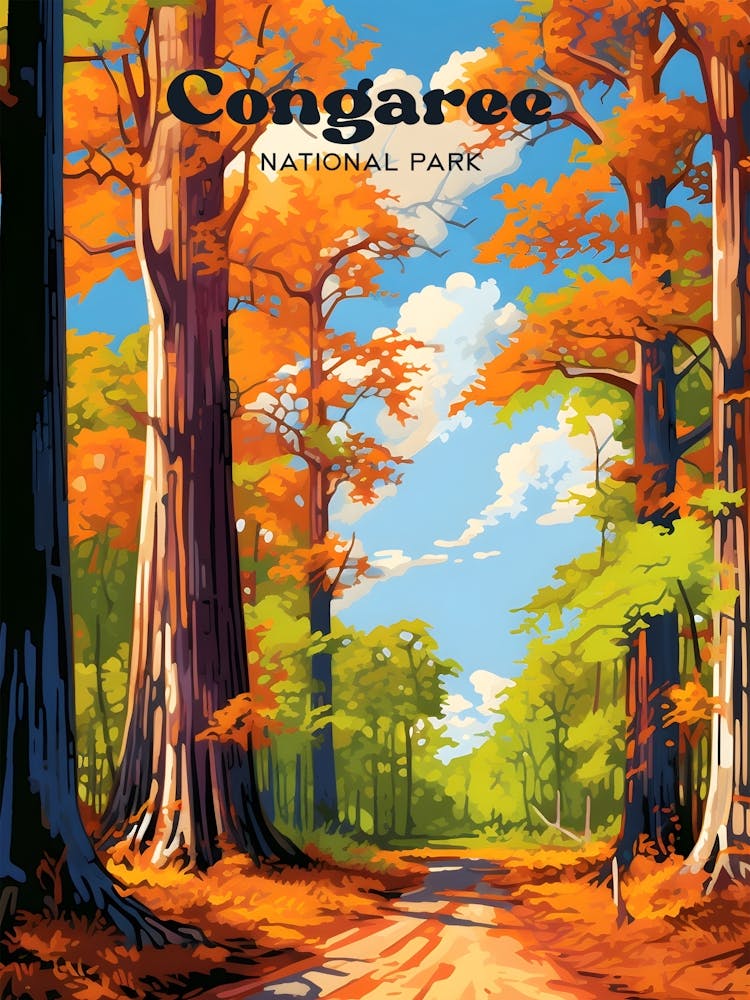 Congaree National Park Outdoors Travel Art