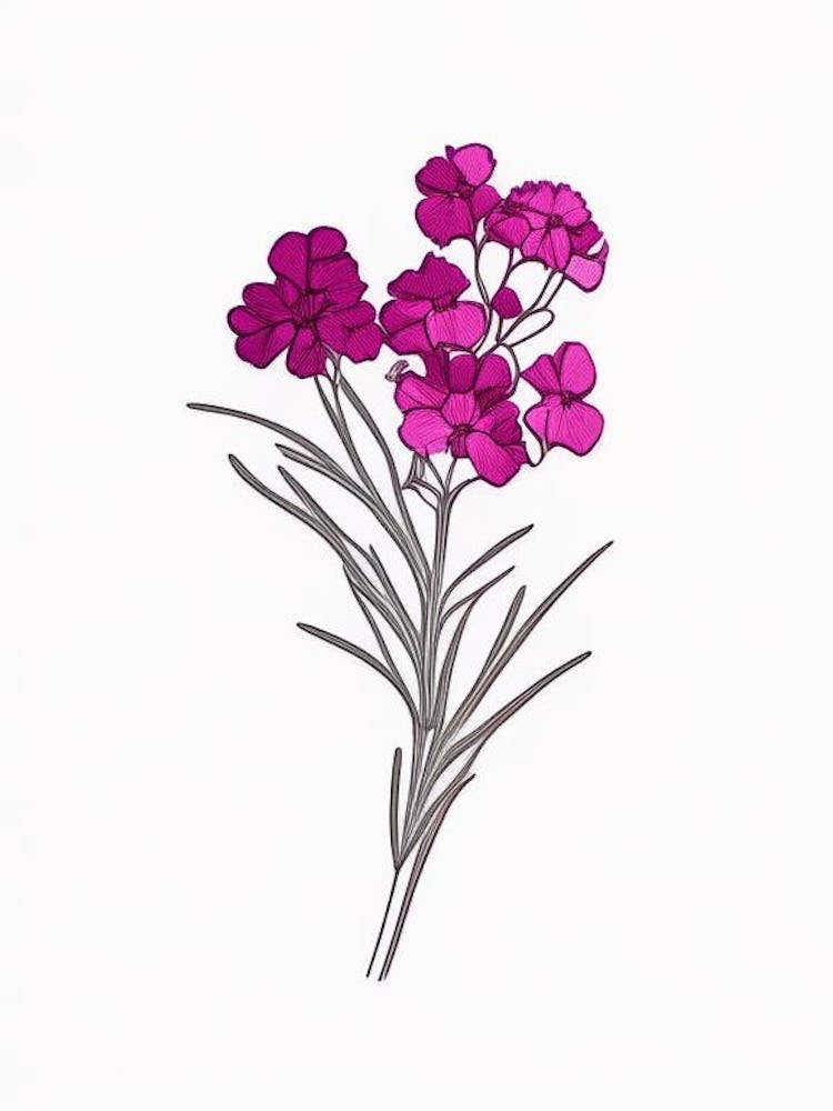 Œillet de poète Dessin au Trait Floral Minimal 4 Fleurs