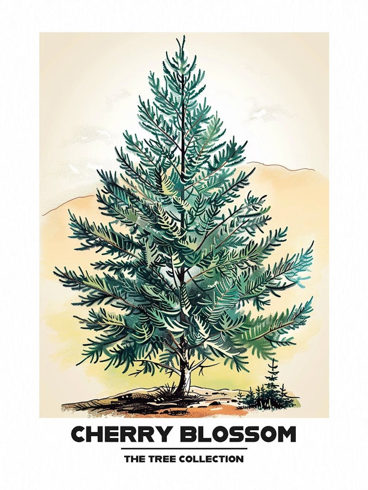 Cherry Blossom Tree Storybook Illustration 3 Poster