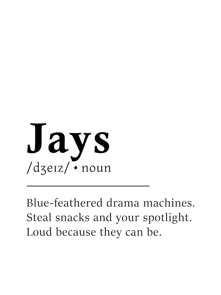 Jays Definition Poster - Dictionary 1