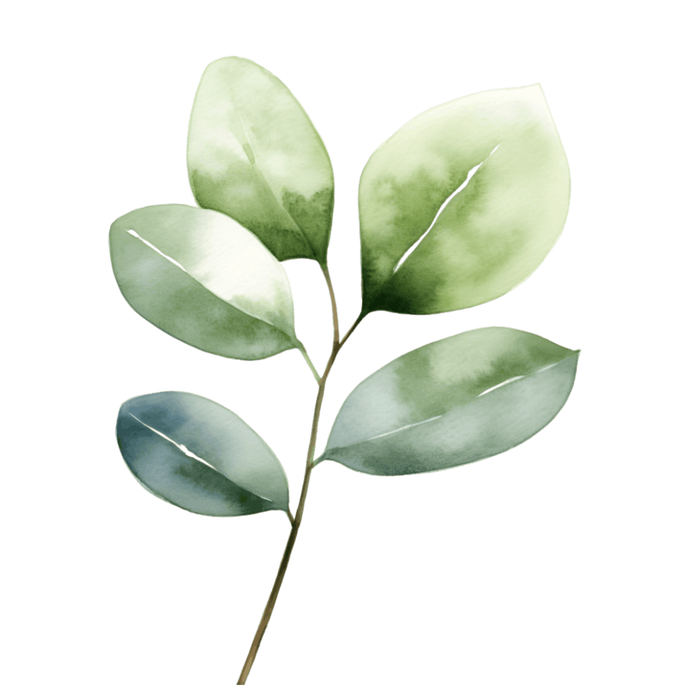 Green Leaves On A Black Background