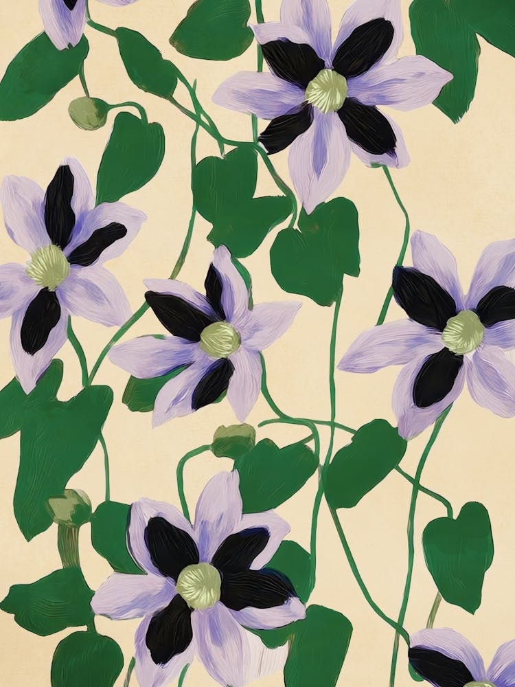 Clematis Botanical Illustration