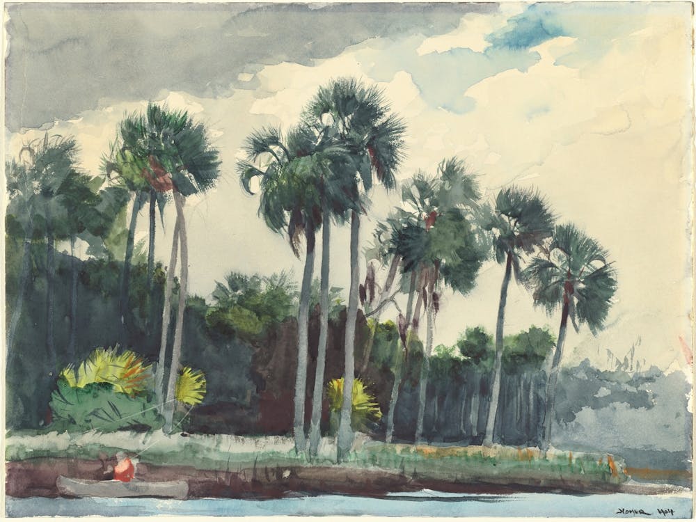 Red Shirt, Homosassa, Florida (1904), Winslow Homer