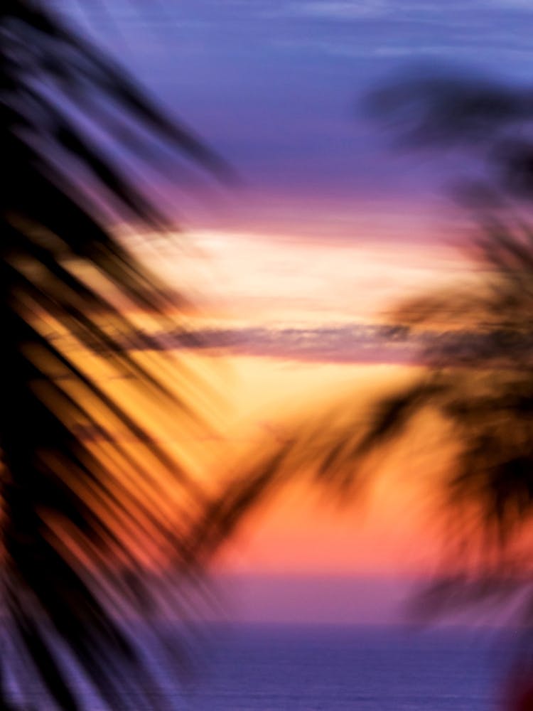 Sayulita Tropical Sunset