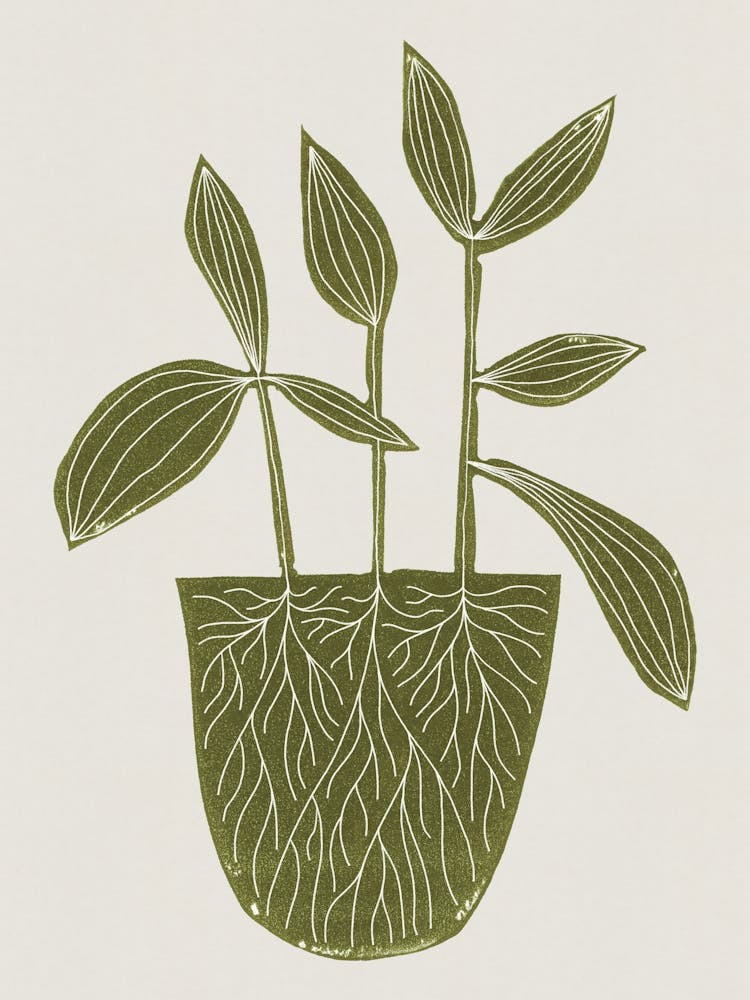 Linocut Houseplant #6